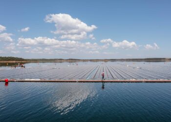 EDP reconhecida como líder global em transparência e desempenho na ação climática