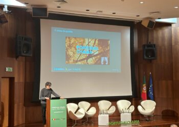 Portugal Chama arranca com nova campanha de sensibilização para continuar a diminuir incêndios em 2024