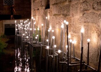 Bairro C – Compromisso Carbono Zero