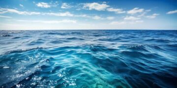 Startup Leiria lança programa de capacitação para investigadores na áreas das Ciências do Mar