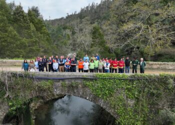 Albergaria-a-Velha reforçou a mancha verde durante o mês de março