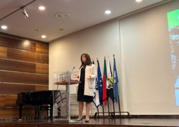 Problema de impermeabilização do espaço urbano? “Sistema complementar que permite a infiltração da água” pode ser mais uma solução