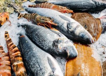 Projeto nacional quer novas soluções para garantir qualidade do peixe e sustentabilidade na aquacultura