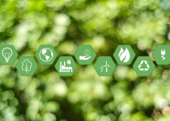 Iberdrola investe na GED TECH Seed para apoiar startups portuguesas