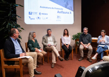 Protocolo Avifauna X para proteção das aves selvagens é renovado