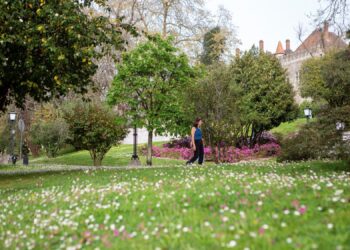Guimarães de novo na corrida pelo título de Capital Verde Europeia