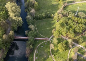 Guimarães disponibiliza para consulta pública Plano de Ação para a Biodiversidade