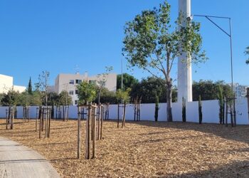 Loulé escolheu agir: A ação local contra a mudança climática global