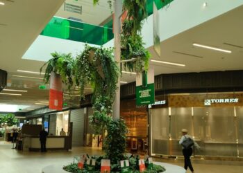 Centros comerciais da Sonae Sierra reduziram consumo de energia em 37% na última década