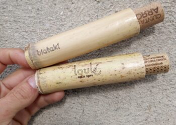 Festival MED em Loulé quer ter 0% de beatas