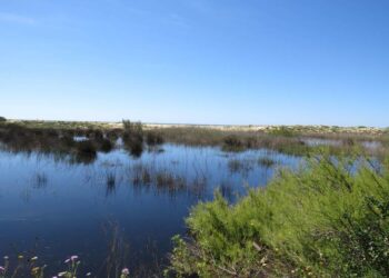 Loulé cria Reserva Natural Local da Foz do Almargem e do Trafal