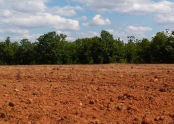 Projeto Soil@INT vai monitorizar solos do interior para mitigar efeitos das alterações climáticas