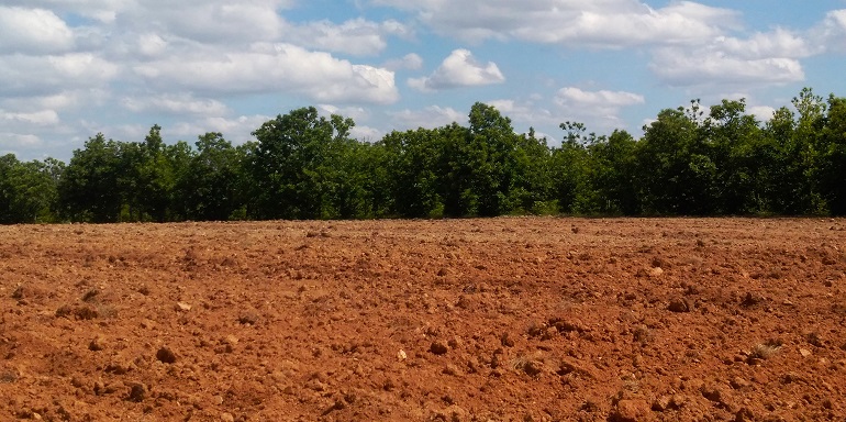 Dia Mundial do Solo: Atrasos na política nacional comprometem a defesa do solo num país com 65% dos solos degradados