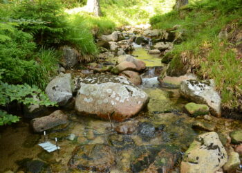 Estudo da Science alerta para necessidade de redução do impacto humano nos ecossistemas aquáticos