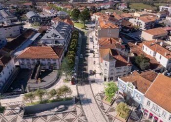 Estarreja na corrida para o Prémio Folha Verde 2026