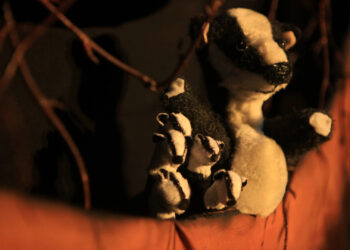 Museu da Água e Resíduos em Sintra celebra Dia Nacional da Conservação da Natureza com teatro de marionetas