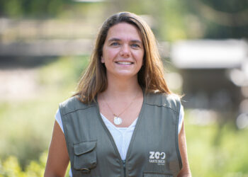 Zoo Santo Inácio apoia a conservação das espécies através de programas dedicados à reprodução