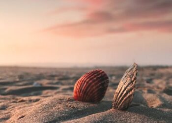 #Ambiguia: Como aproveitar o verão sem deixar de ser sustentável?