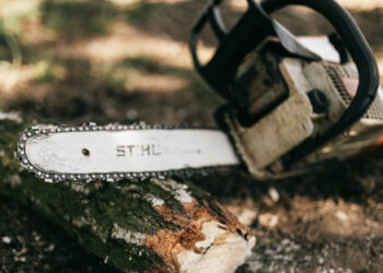 Portugueses tendem a adiar limpeza de terrenos (preço influencia decisão)