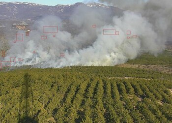 Axis Communications: combater e prevenir incêndios com videovigilância