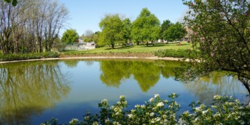 Jardim do Monte Latito e Parque da Cidade de Guimarães renovam galardão Green Flag