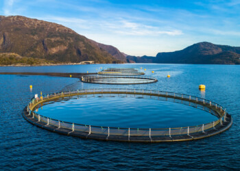 B2E CoLAB convidado para plataforma europeia de tecnologia e inovação em aquacultura