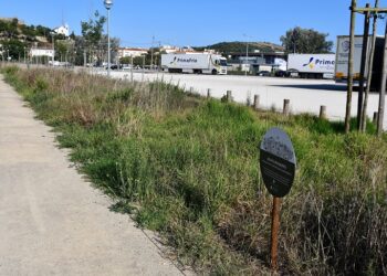 Torres Vedras instala prados no Corredor Ecológico do Sizandro