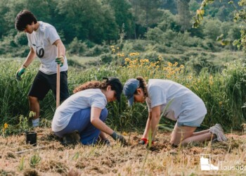 Lousada no pódio europeu de árvores plantadas em Portugal