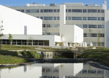 Porto Business School reforça formação com OEP de Sustentabilidade no Têxtil