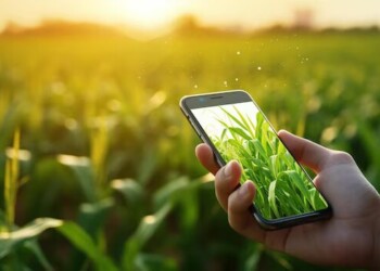 Agricultura Digital será tema de debate na Póvoa de Varzim