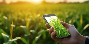 Agricultura Digital será tema de debate na Póvoa de Varzim