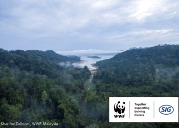 SIG lança segundo projeto com WWF Suíça para apoiar o crescimento das florestas na Malásia