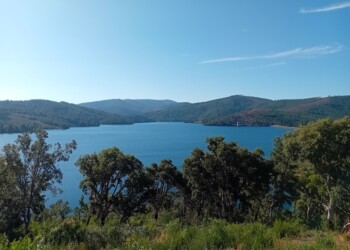 15.ª edição das Jornadas FENAREG ruma ao Fundão nos dias 26 e 27 de novembro