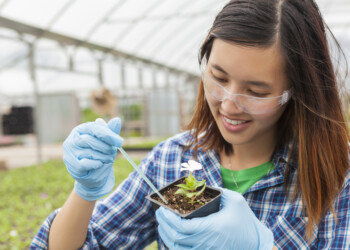 Procura por empregos verdes aumentou com destaque para setores de luxo, tecnologia, finanças e ciências da saúde