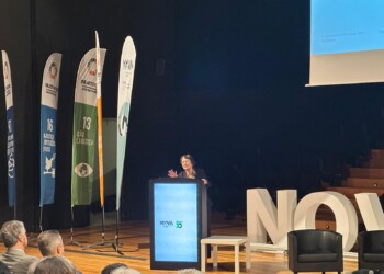 NOVA de Lisboa quer passar à ação do seu Roteiro para a Neutralidade e Resiliência Climática no verão de 2025