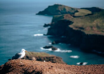 Mútua dos Pescadores: Um porto seguro em terra e no mar