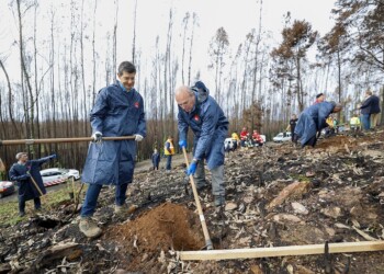 Automóvel Club de Portugal apoia a reflorestação de zonas ardidas em Portugal