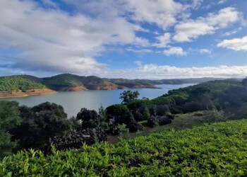 CCDR Algarve defende maior participação das entidades territoriais na governança dos recursos hídricos
