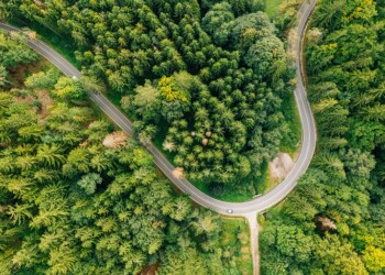Como está a bioenergia avançada a transformar as cidades portuguesas?