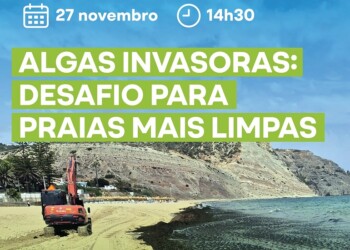 ALU e Lagos promovem debate sobre o impacto das algas invasoras nas praias portuguesas