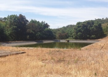 BioSmart presta serviços de limpeza de lagoas e desidratação de lamas em Odemira