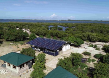 EDP leva energia limpa a comunidades de cinco países africanos