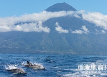 Primeiro Hydraloop nos Açores é instalado no Pico Outdoor & Lodging