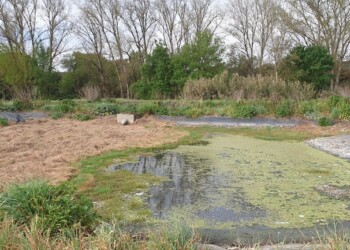 Substituição de telas na ETAR de Arraiolos Poente com a BioSmart