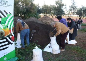 NESCAFÉ Dolce Gusto doa primeiro composto gerado através de cápsulas NEO ao projeto Terras de Cascais