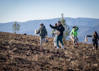 “BeeFood” incentivou crianças a largar sementes para “agarrar” um futuro sustentável