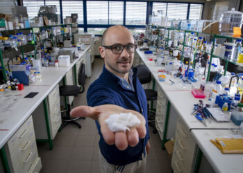 Cientista português recebe bolsa europeia para colorir fibras de algodão de forma sustentável