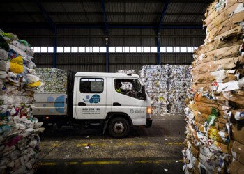 Cascais reduziu produção de resíduos indiferenciados e aumentou reciclagem em 2024