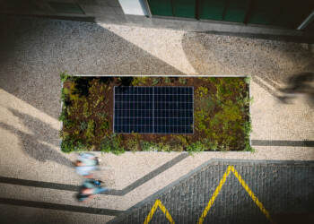 DREAMMEDIA Madeira inaugura primeiras estruturas de abrigos sustentáveis no Funchal