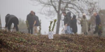 Entidades unem-se para plantar 1.250 árvores em Guimarães
